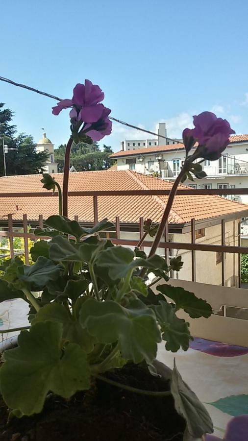 Casa Vacanza Xenìa Agerola Exterior foto