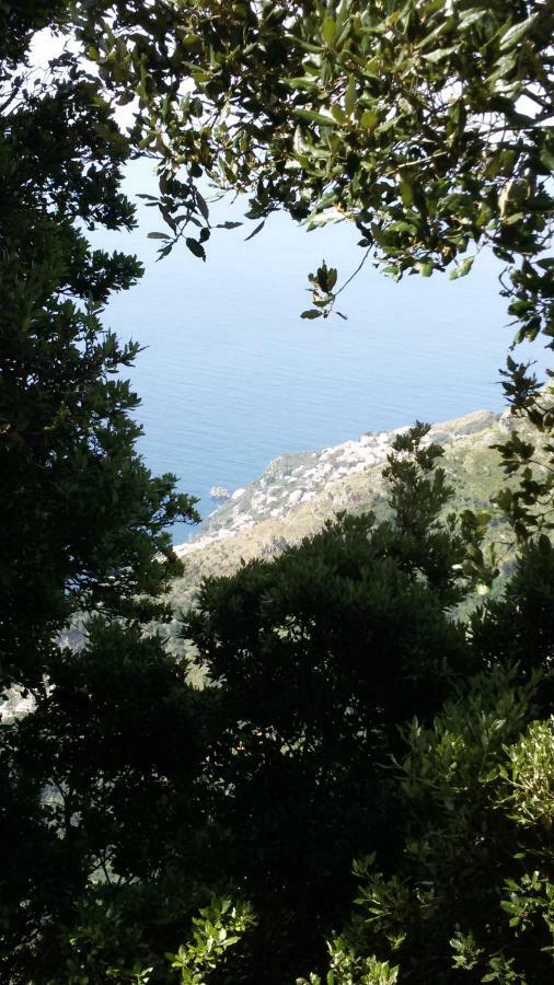 Casa Vacanza Xenìa Agerola Exterior foto